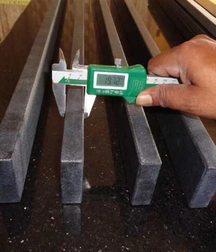 Project inspection
